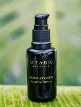 Nourish Serum