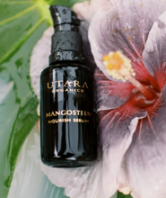 Nourish Serum