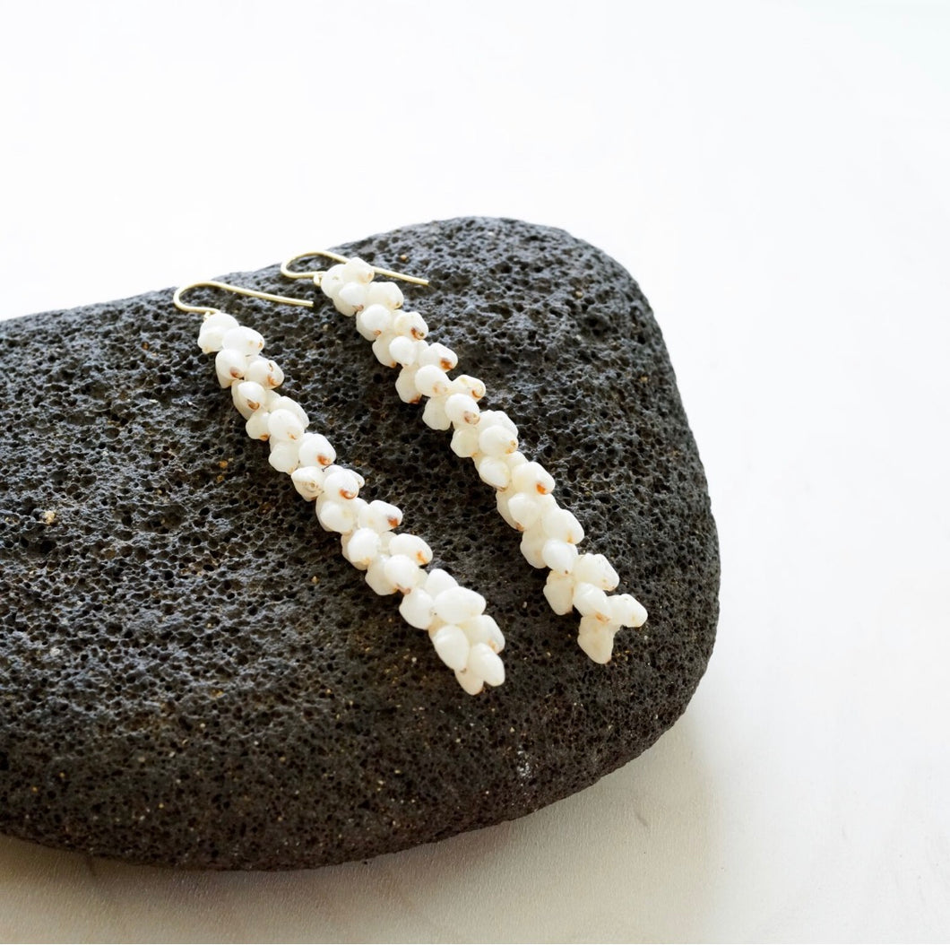 Ni'ihau Momi Shell Earrings