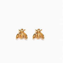 Honey Bee Studs