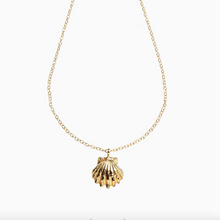 Golden Sunrise Small Shell necklace