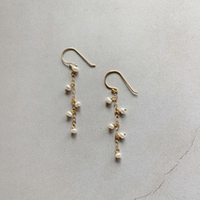 Jennifer Petite Lei Drop Earrings