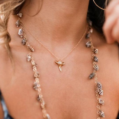 Shark's Tooth Necklace