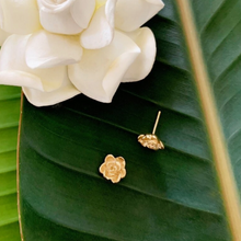 Kiele Gardenia Studs