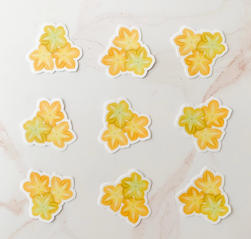 Pakalana Trio Sticker