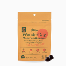 Wonderday Mushroom Gummies