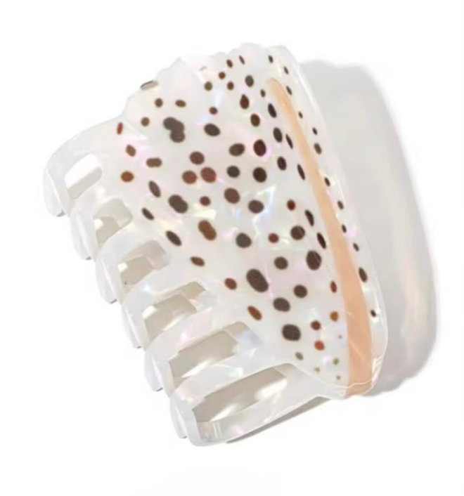 Cone Shell Hair Clip