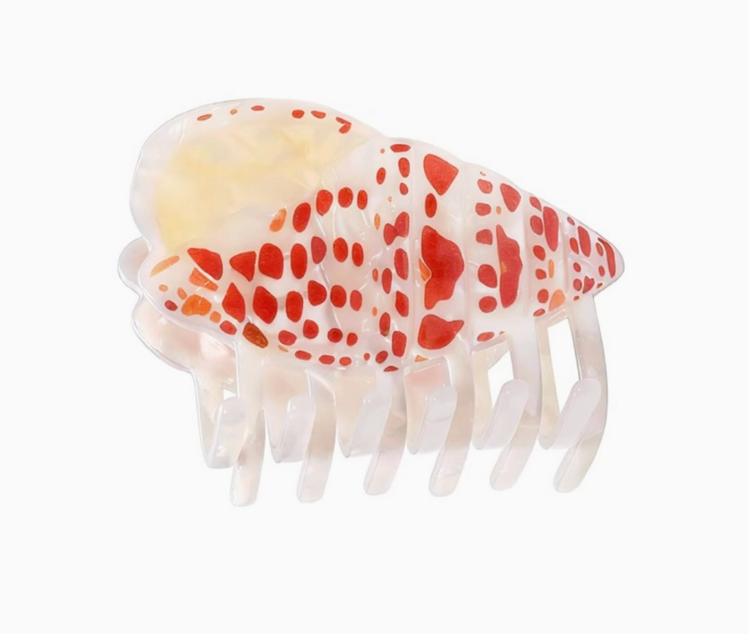 Miter Shell Claw Clip