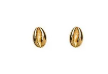 Mini Cowrie Shell Studs