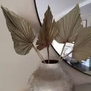 Natural Dried Palm Leaves