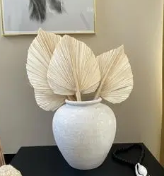Large bleached palm