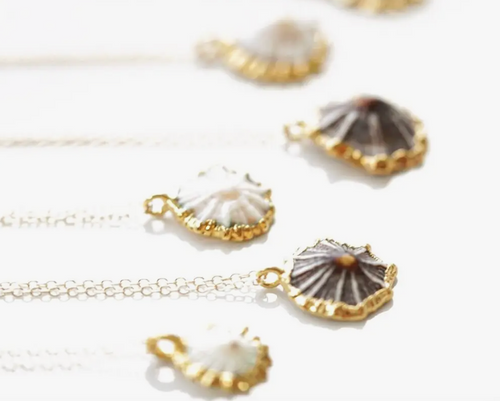 Opihi Shell Necklace