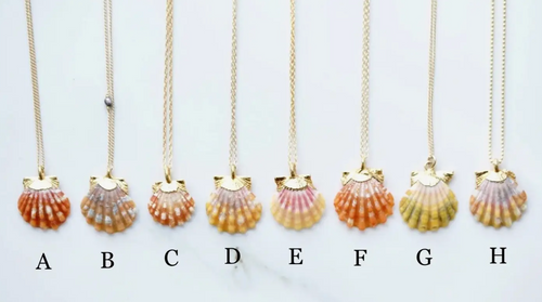Sunrise Shell Necklace