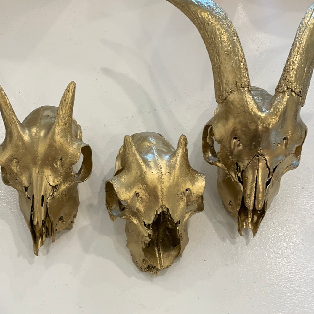 Gold Goat Skulls