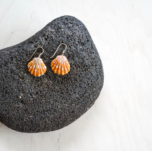 Sunrise Shell Earrings