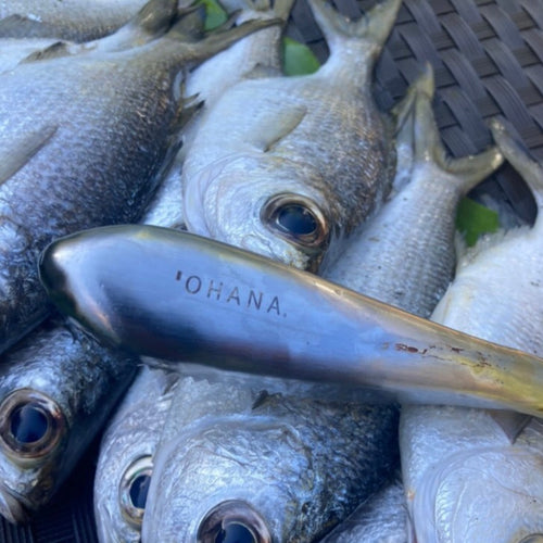 Fish Scaler