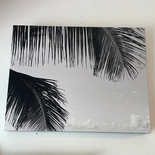 Black/White Canvas Series