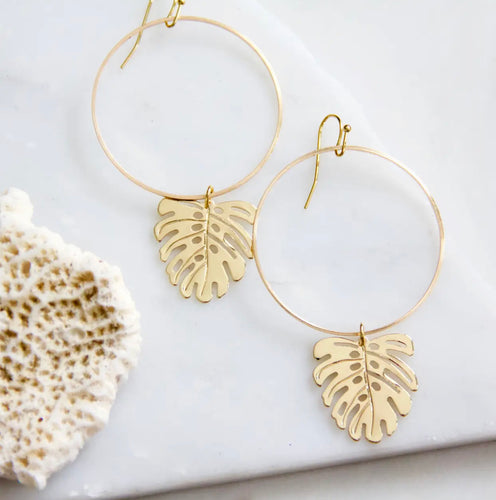 Monstera Dangles